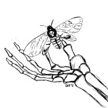 Death-Moth-W-Skeleton-1-